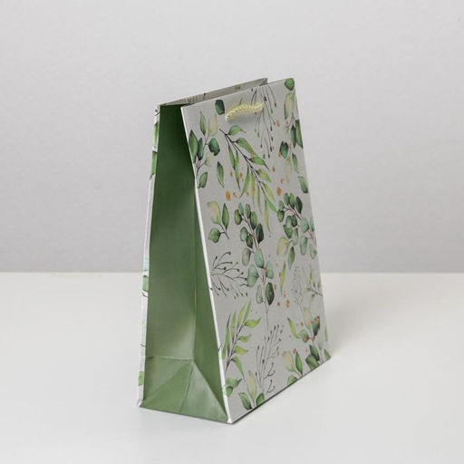 Цена за 2 шт. Пакет подарочный ламинированный, упаковка, Present for you, MS 18×23×8 см