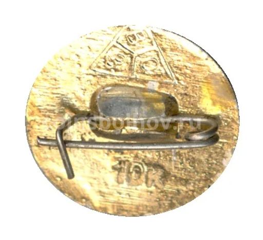 Значок Владимир