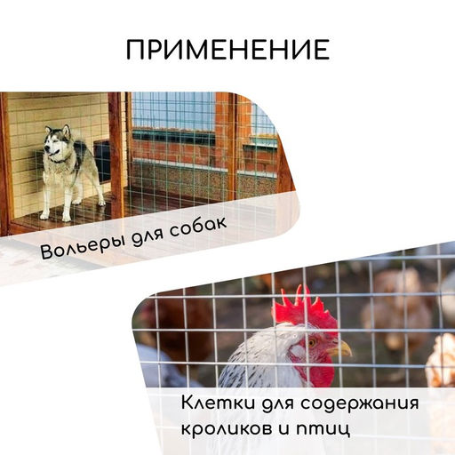 Сетка сварная с ПВХ покрытием, 10×1.5 м, ячейка 50×50 мм, d=1 мм, металл, Greengo