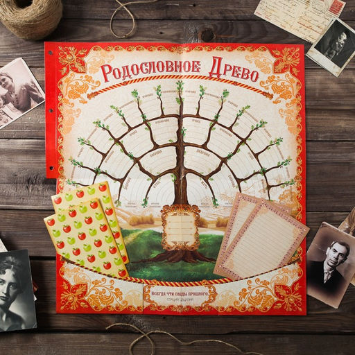 Родословная книга «Семейные традиции», 58 листов, 30 х 30 см