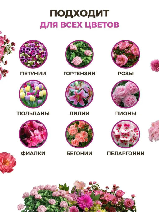 ЦИОН Сид энд Гроу (Стимулятор для проращивания семян), 50 гр