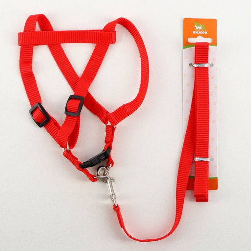 Комплект Базис, поводок 120 х 1,5 см, ОГ 32-46 см, красный - Пижон фото 5