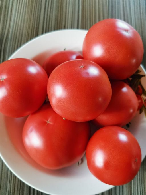 Томат ГЕРМАН F1 - Уральский дачник фото 11