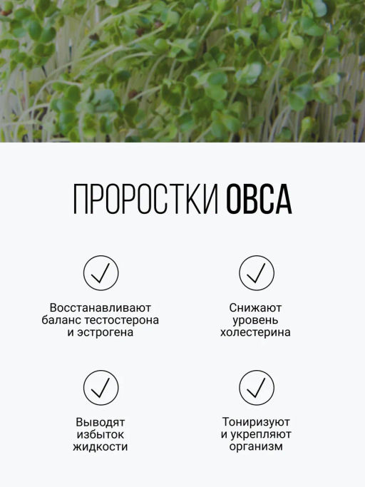 Смесь из семи видов проростков 200г (пшеница, полба, спельта, рожь, овес, чечевица, зеленая гречка)