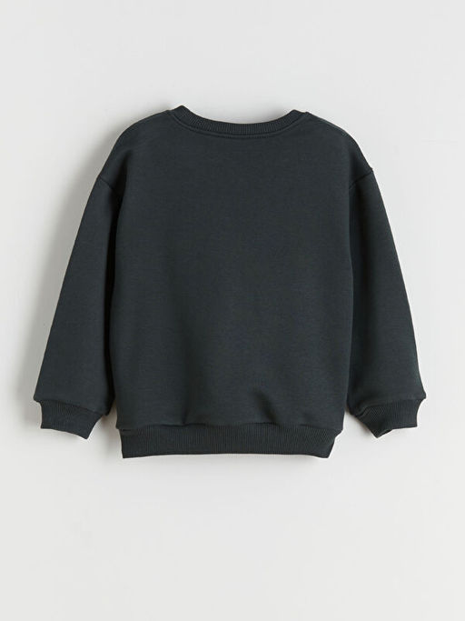 Dinazor Bask?l? Erkek ?ocuk Sweatshirt ve E?ofman Alt 2li