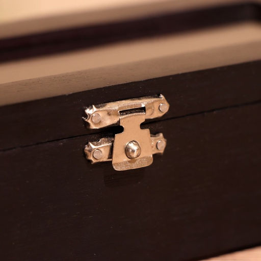 Игра настольная «Домино», в шкатулке, 20×7×4 см, дерево шишам