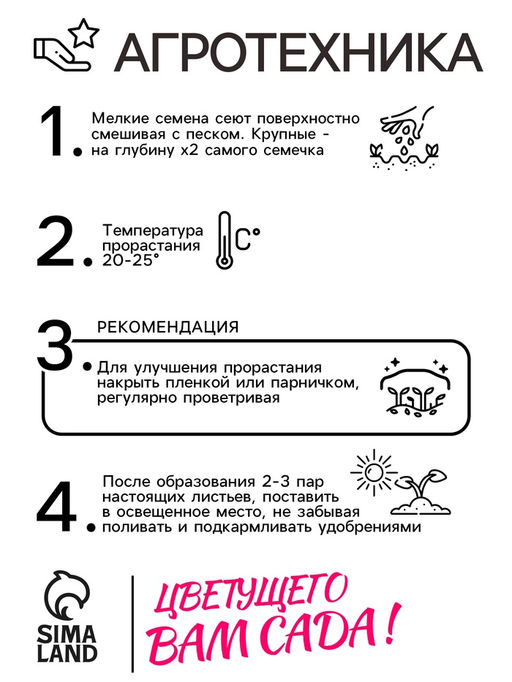 Цена за 3 шт. Семена Монарда лимонная "Бегемот", 110 шт