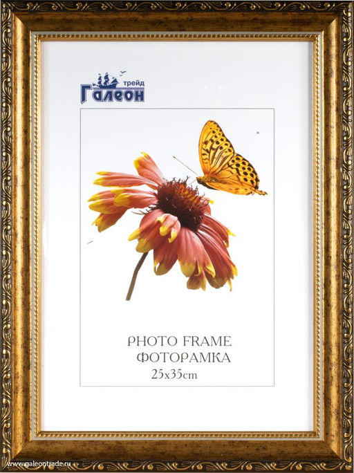 Фоторамка 25х35 / 10036-2 / - Галеонтрейд фото 3