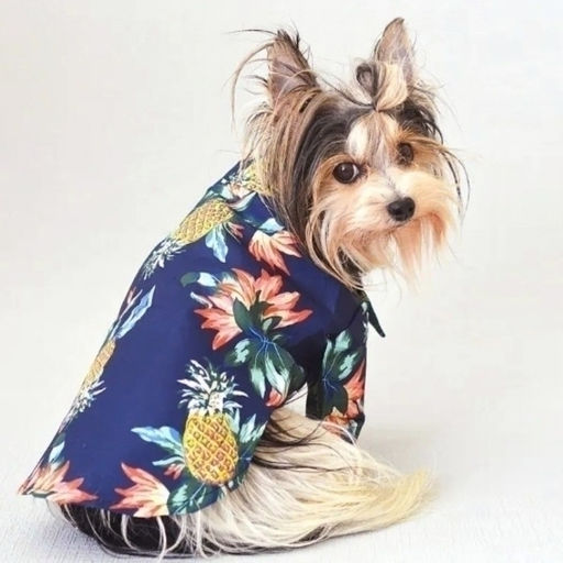 Рубашка для собак и кошек малых и средних пород "СТИЛЬНЫЙ БРО", цвет синий, принт ананасы с цветами, размер M