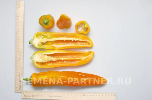 Перец сладкий Желтая капия - Партнер фото 3