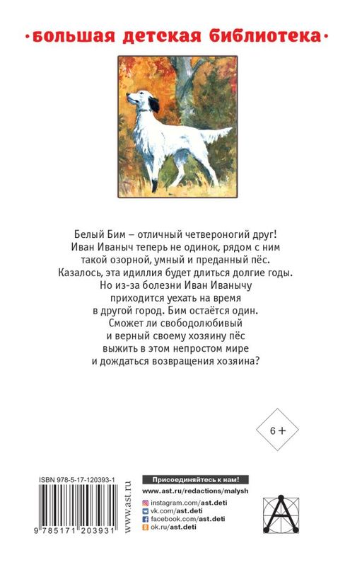 Белый Бим Чёрное ухо