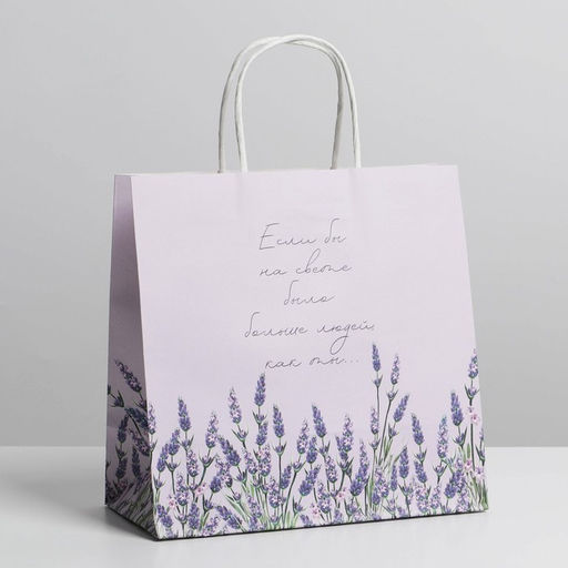 Цена за 2 шт. Пакет подарочный, упаковка, Если бы, 22?22?11 см