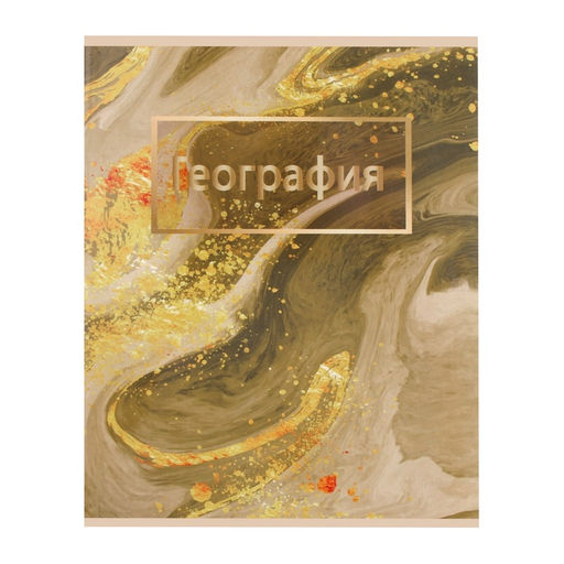 Тетради предметные Calligrata «Мрамор светлый», 10 предметов, 48 листов, со справочным материалом, обложка из мелованного картона