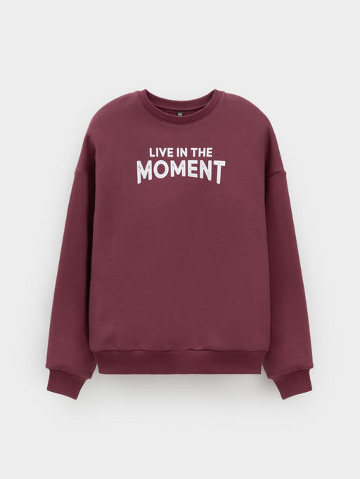 КР 302802/коричневый 1614 к634 джемпер (свитшот) для мал