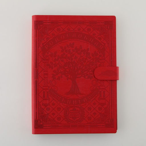 Родословная книга "Книга нашей семьи", красн., 31 х 22 см