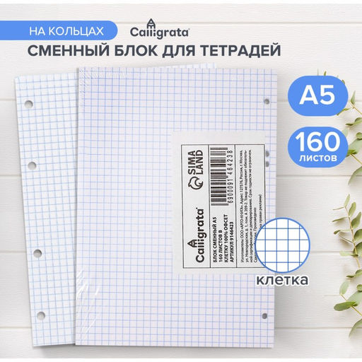 Сменный блок для тетрадей на кольцах А5, 160 листов в клетку, Calligrata