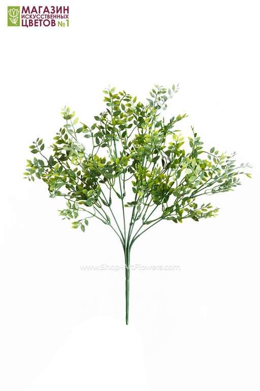 103 Листья фисташки, куст - Без тм фото 7