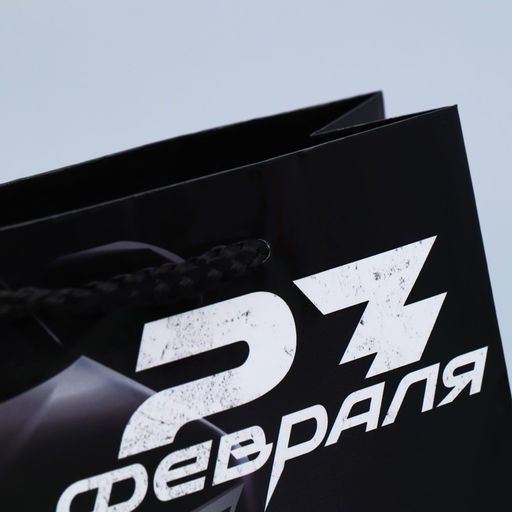 Цена за 3 шт. Пакет подарочный ламинированный, упаковка, «С 23 февраля», S 12×15×5.5 см