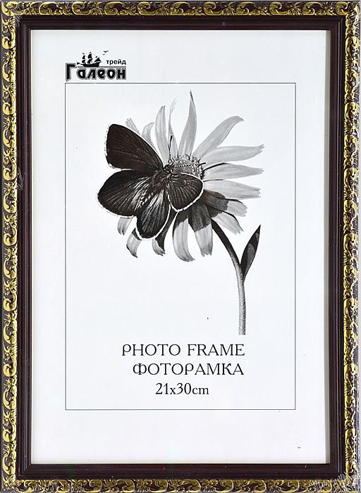 Фоторамка 21х30 / 2025C-001A1 /уп10 - ГалеонТрейд фото 2