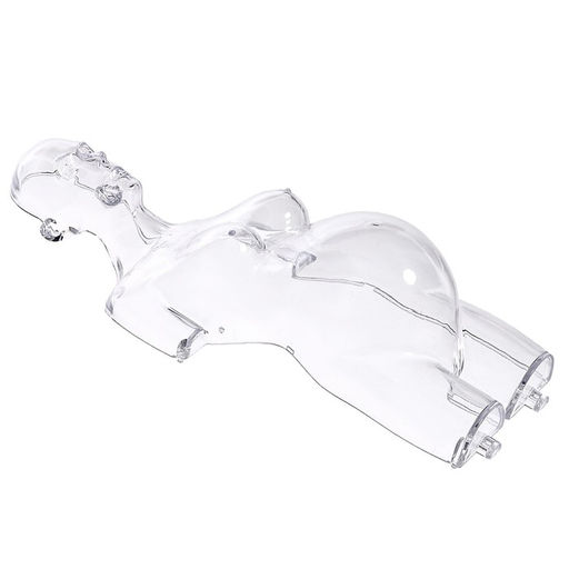 Набор для опытов Строение тела, беременная женщина - Эврики фото 10