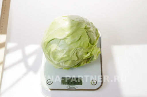 Капуста белокочанная ультраранняя Настя - Партнер фото 4