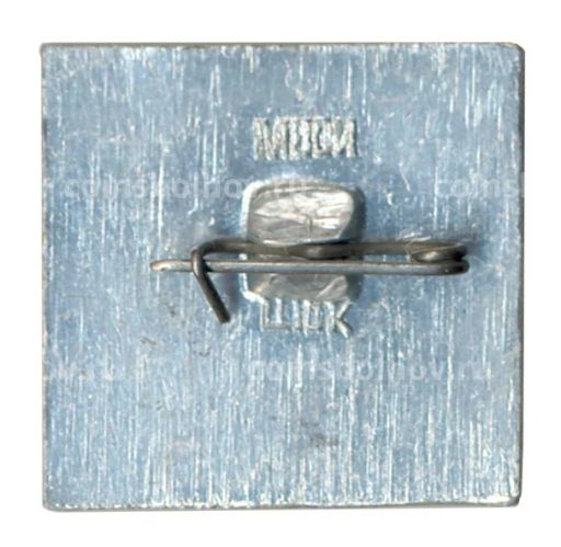 Значок Коломенское