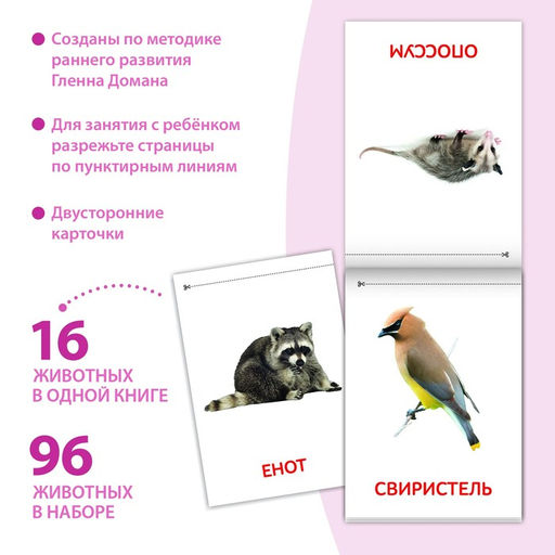 Книги набор Карточки Домана. Животные материков, 6 шт. по 20 стр. - Буква-Ленд фото 2