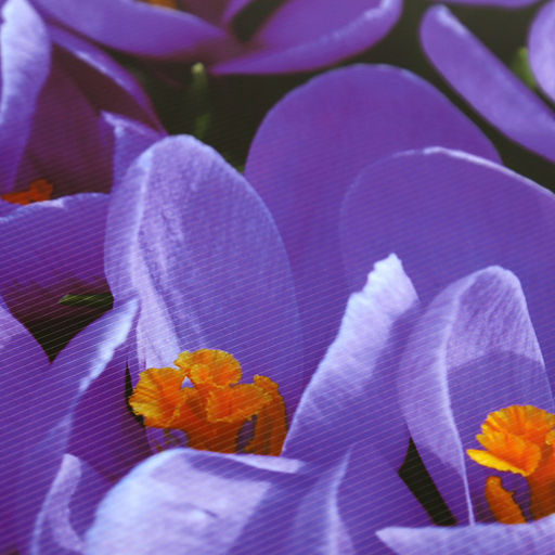 Салфетка под горячее (термосалфетка) 27х42см Крокусы (Китай) - Домашняя мода фото 2