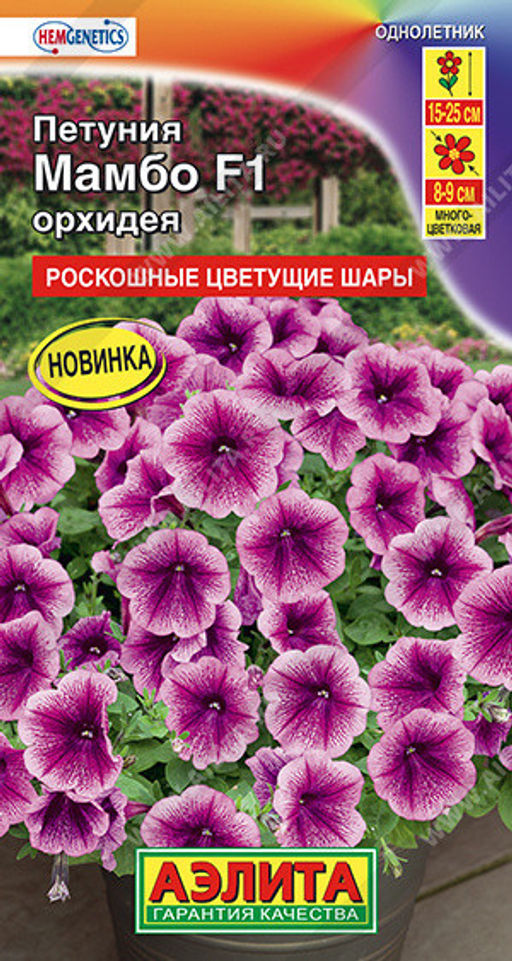 1720A Петуния Мамбо F1 орхидея 7шт