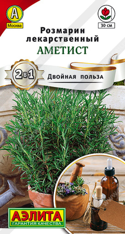 Розмарин Аметист (2026), 20 шт