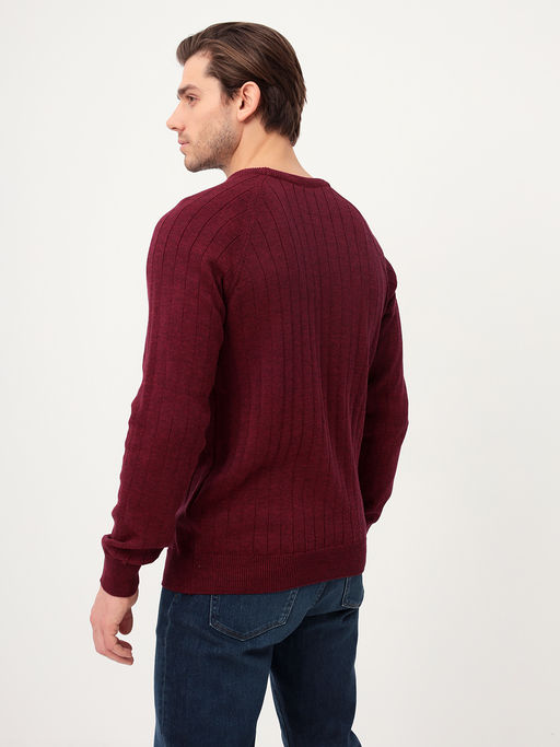 Джемпер мужской GREG G121-35237-лапша (бордо м.)  фото 3