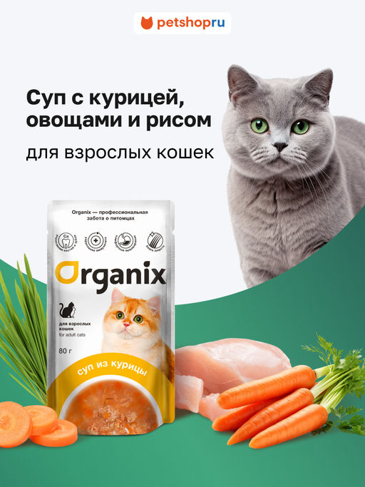 Суп для кошек Organix, с курицей, овощами и рисом 53зд04