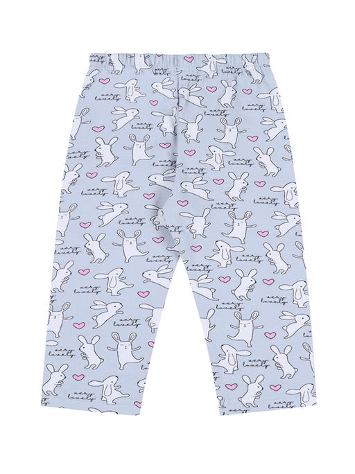 Бриджи 1ДБР2786804н