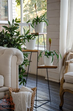 Подставка для цветов лофт 66-424 - Фабрика интерьерной ковки фото 5