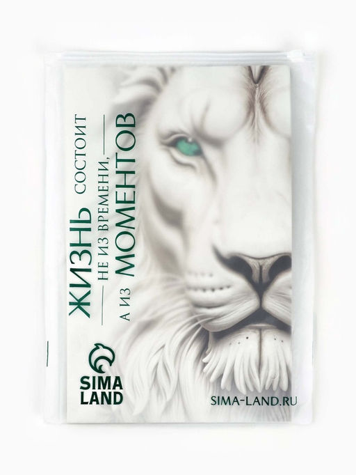 Пакет подарочный С Новым годом, с ёлочной игрушкой и шильдиком, Дед Мороз, 25.5?30?9 см