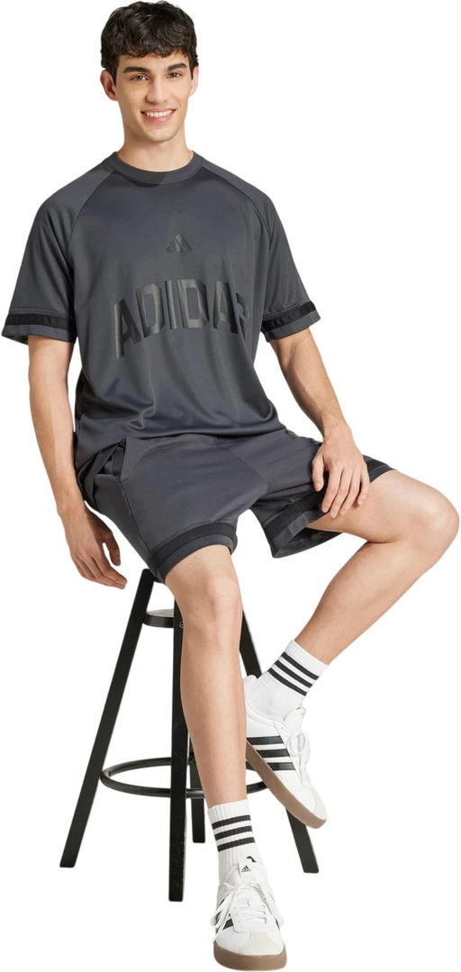 Футболка мужская