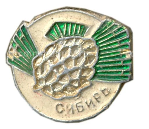 Значок Сибирь