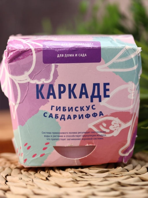 Наборы для выращивания, mix (уценка)