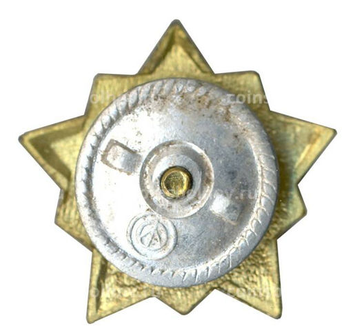 Значок Воин-спортсмен  II ступень