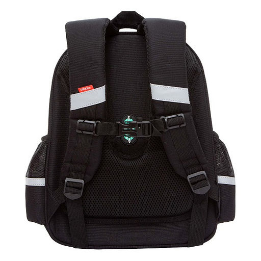 RAz-587-6 Рюкзак школьный - Grizzly фото 31