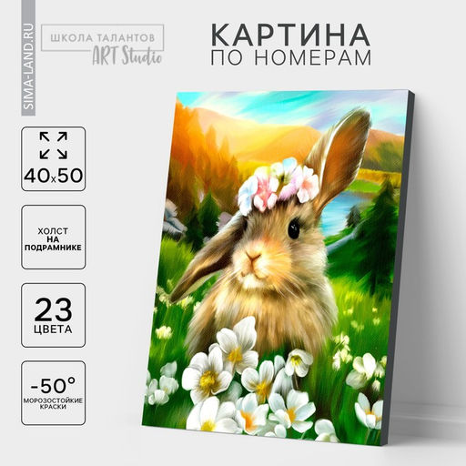 Картина по номерам на холсте с подрамником «Заяц», 40×50 см