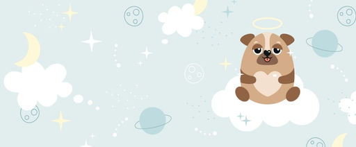 Обложка для студенческого Space dog, плотность 600 мкм