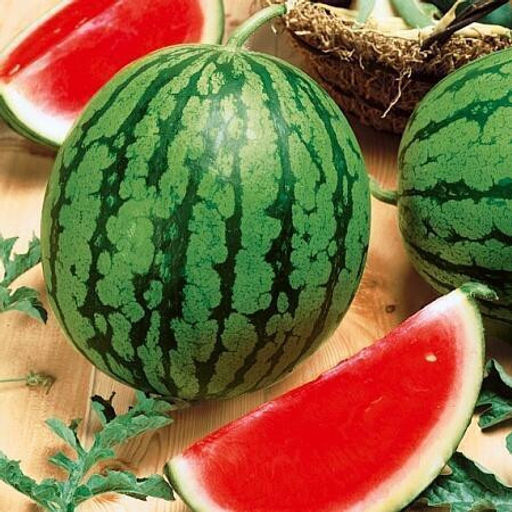 6252U Арбуз Эдем F1 5шт