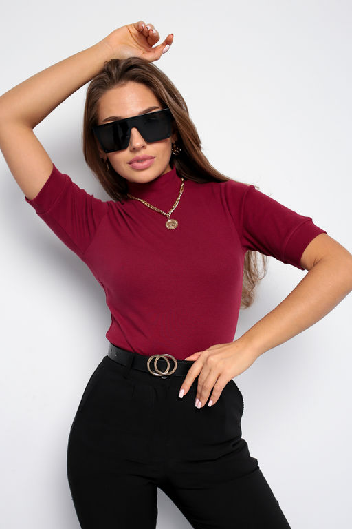 Водолазка 5290