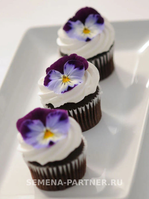 Виола ампельная Кул Вэйв Вайлет Винг - Партнер фото 5