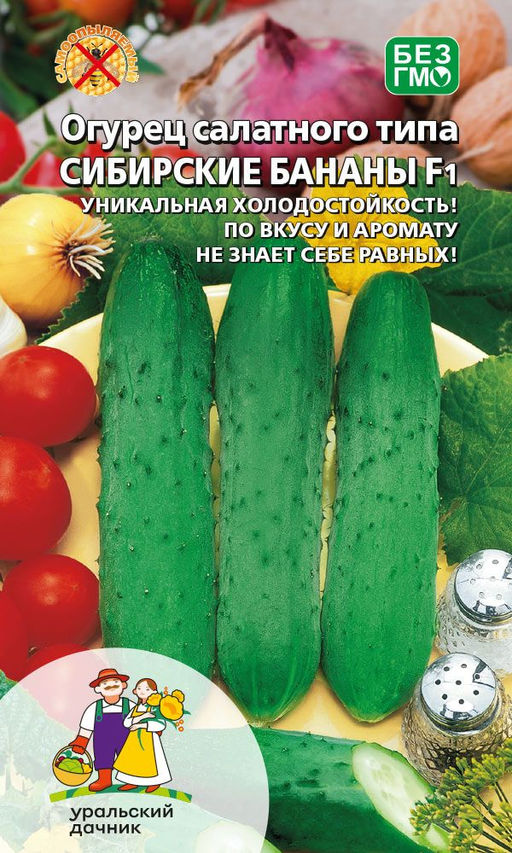 Огурец СИБИРСКИЕ БАНАНЫ F1  Уникальная холодостойкость! По вкусу и аромату не знает себе равных!
