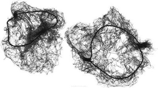 Dewal Сеточка-паутинка для создания причёсок большая СЕ100, черный, 2 шт.  фото 2