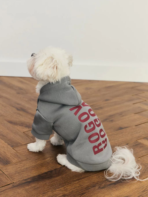 джемпер (попона) для животных / Zarina