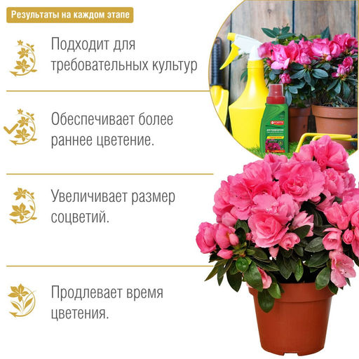Компл. мин. удобр. "Bona Forte Красота" Для рододендронов, камелий, азалий фл.285мл