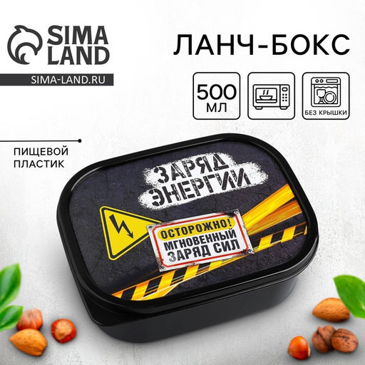 Цена за 2 шт. Ланч - бокс прямоугольный Заряд энергии, 500 мл